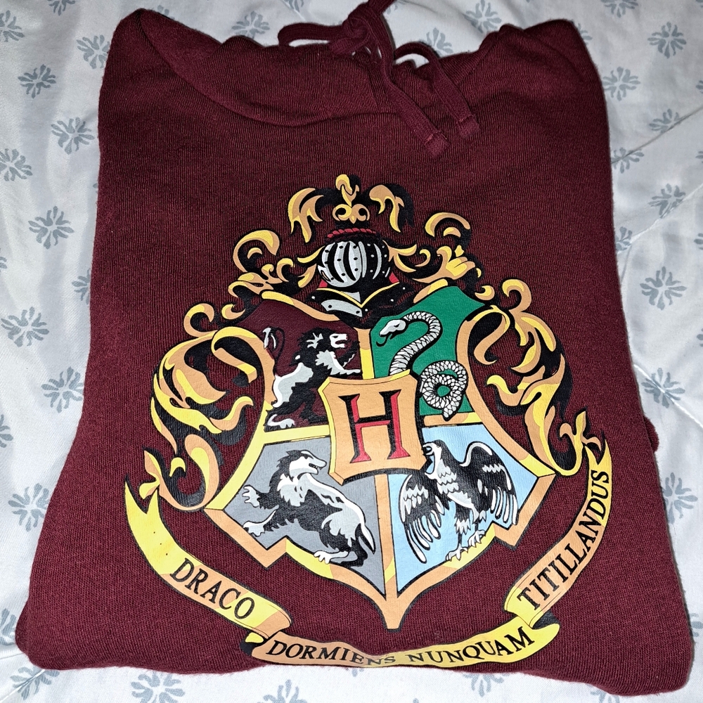 Harry Potter hoodie